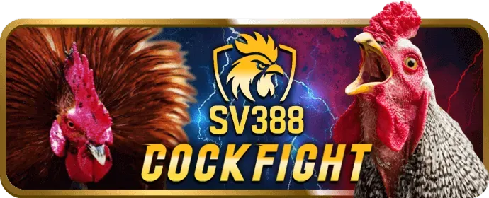 Hình ảnh người dùng quản lý quyền riêng tư và dữ liệu của họ tại good888 nổ hũ